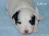 04_lukrecia