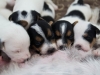 Milk bar - 2,5 weeks