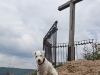 srbsko_2014-0949.jpg